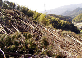 県産木材の安定供給及びさがの木プレゼント事業
