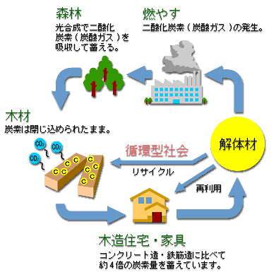 木材・間伐材の活用