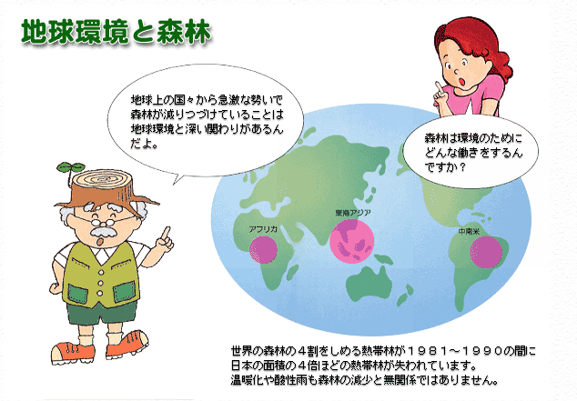 地球環境と森林