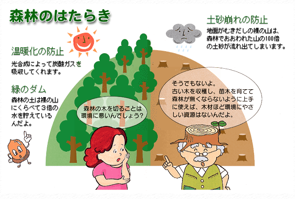 森林のはたらき