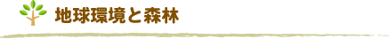 地球環境と森林
